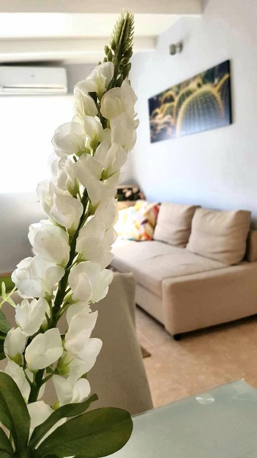 Atico En El Corazon De Santa Cruz/ Cozy Penthouse Lejlighed Eksteriør billede